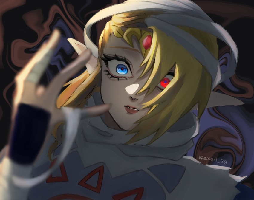 Princess Zelda (Nintendo) Rule 34 Image