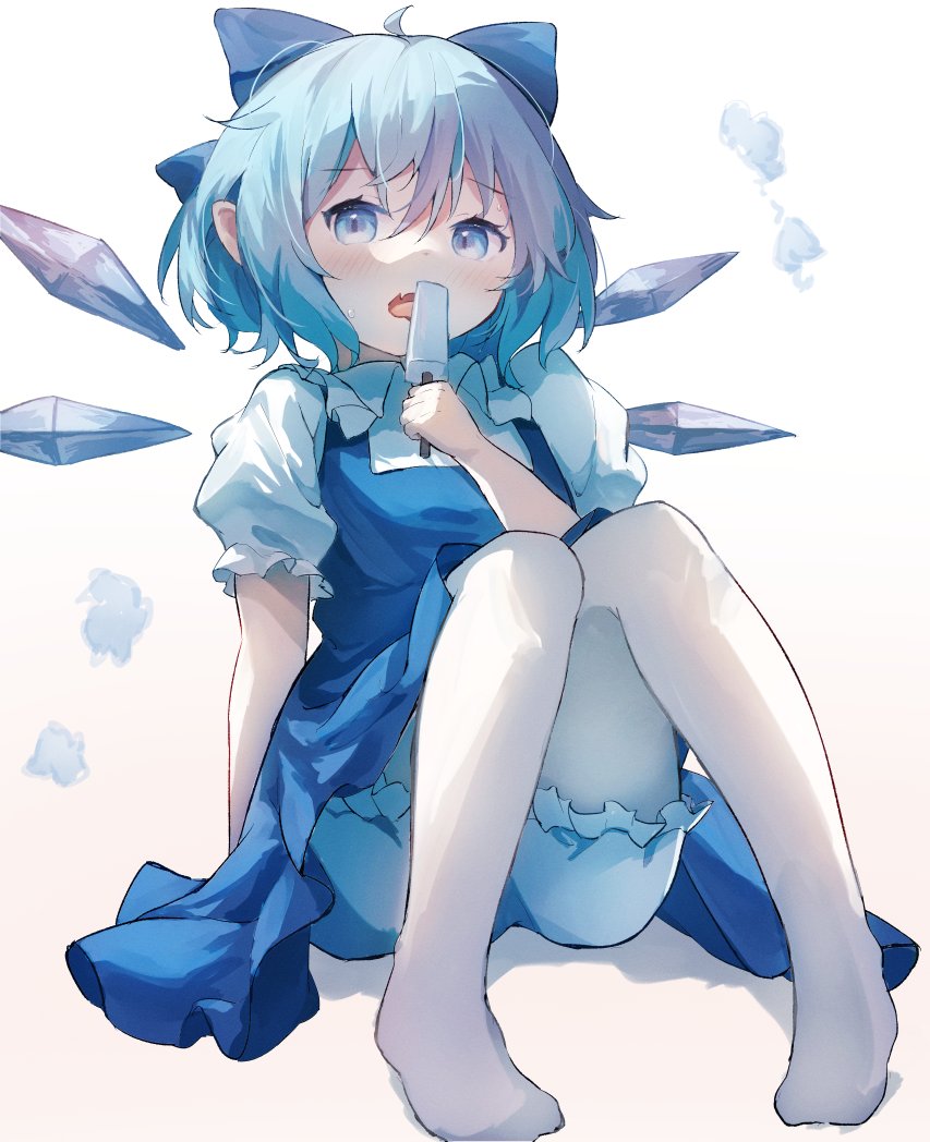 Cirno (Touhou) Rule 34 Image