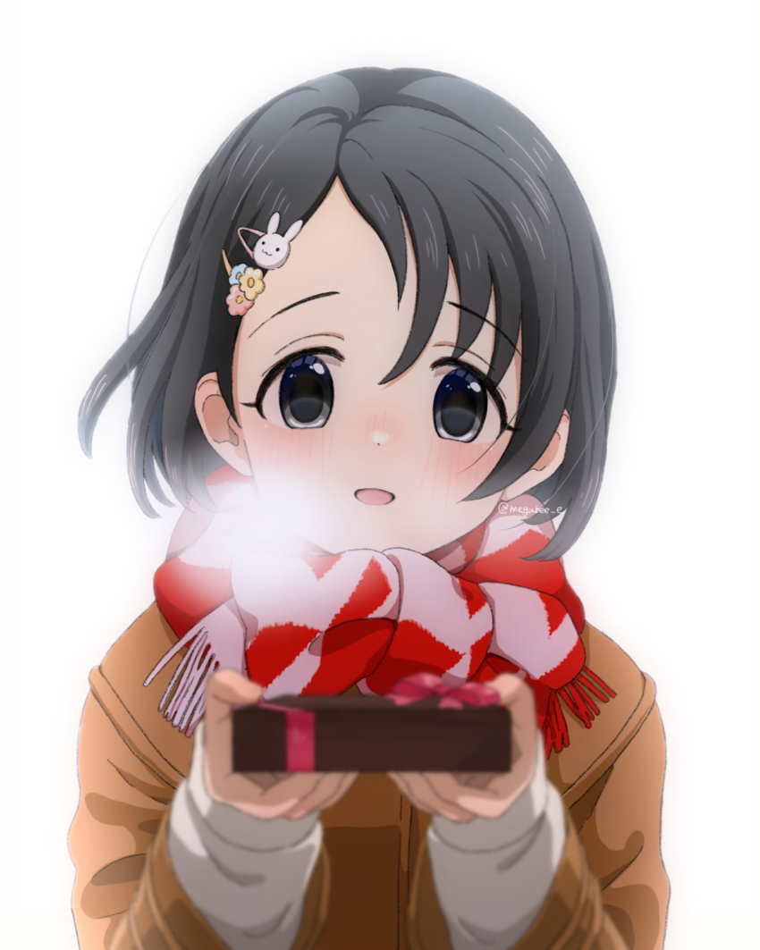 Sasaki Chie (Idolmaster) Rule 34 Image