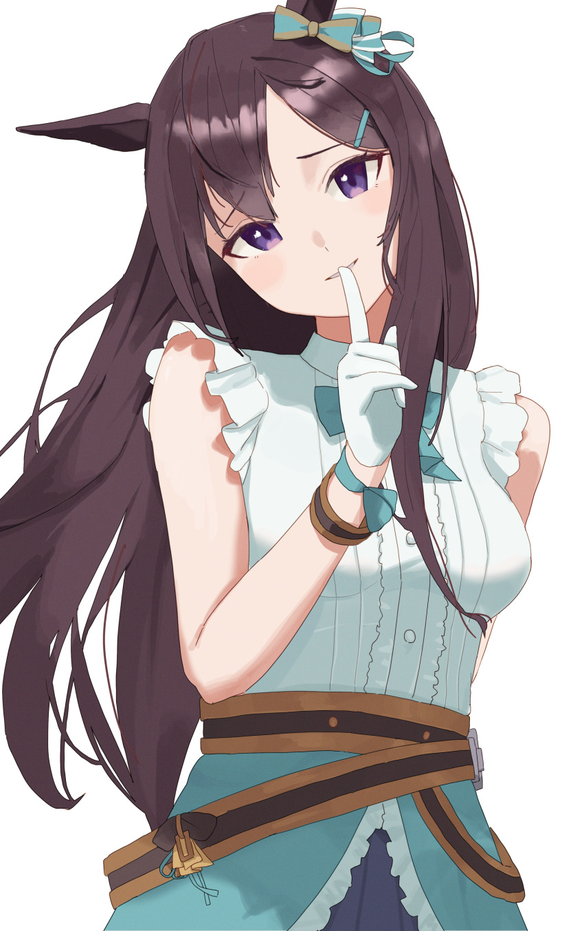 Mejiro Dober (Umamusume) Rule 34 Image