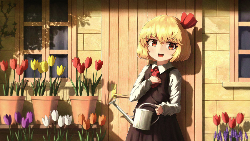 Rumia (Touhou) Rule 34 Image