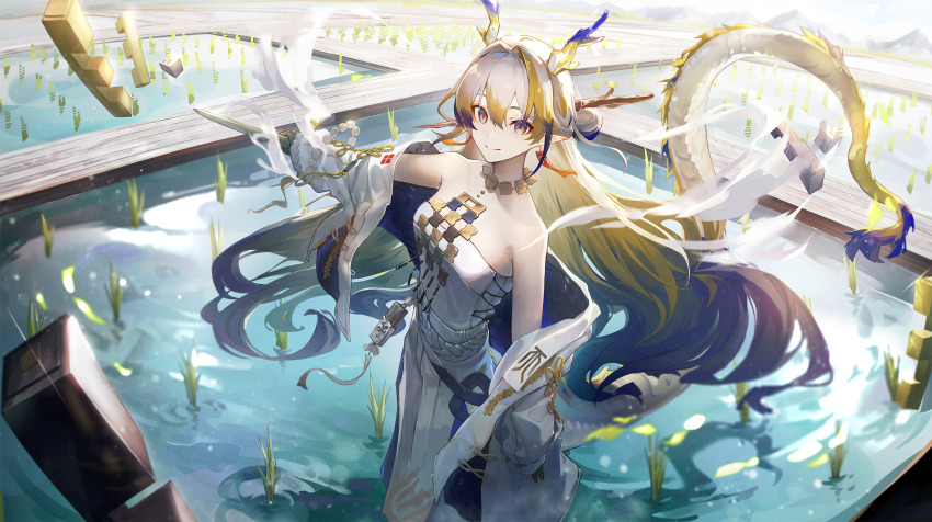 Shu (Arknights) Rule 34 Image