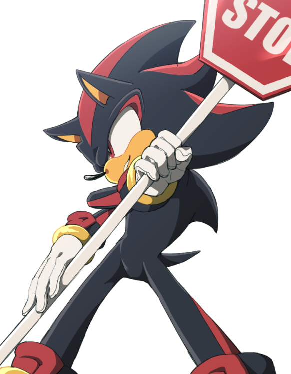 Shadow The Hedgehog (Shadow The Hedgehog (Game)) Rule 34 Image