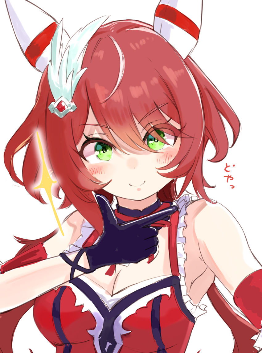 Win Variation (Umamusume) Rule 34 Image