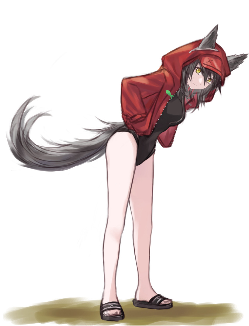 Projekt Red (Arknights) Rule 34 Image