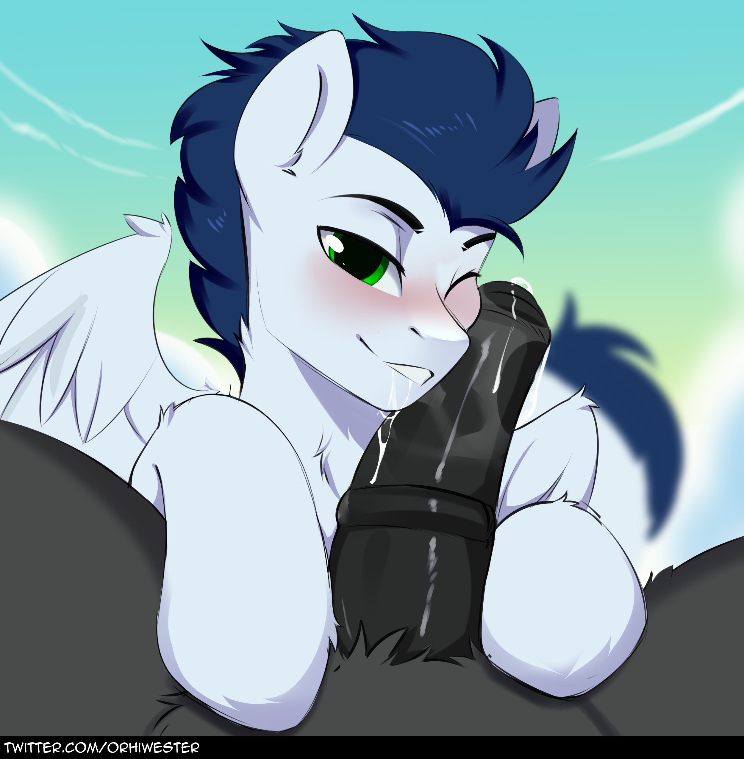 Soarin (Mlp) Rule 34 Image