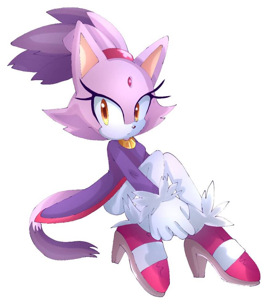 Blaze The Cat (Sonic (Series)) Rule 34 Image