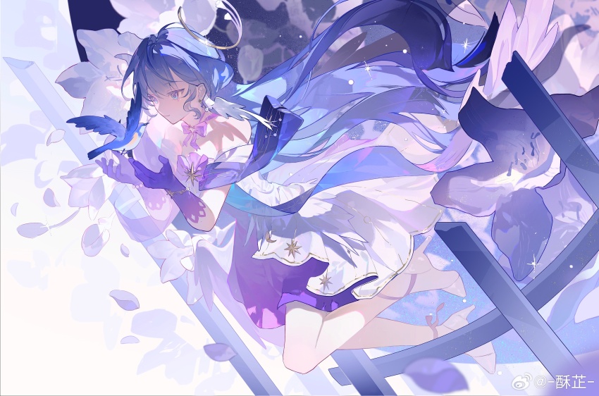 Robin (Honkai: Star Rail) Rule 34 Image