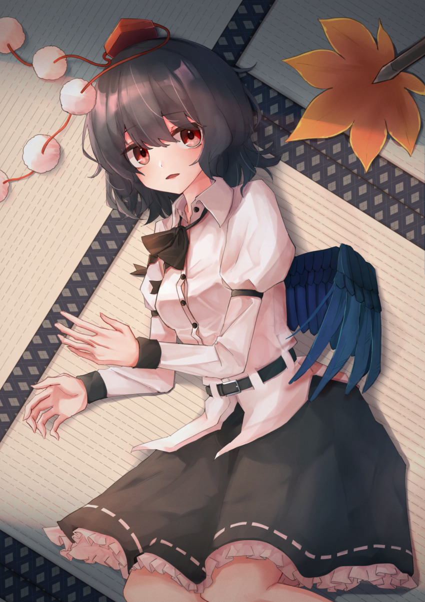Shameimaru Aya (Touhou) Rule 34 Image