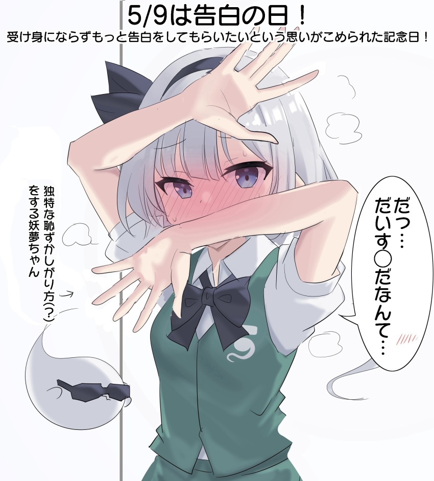 Konpaku Youmu (Touhou) Rule 34 Image