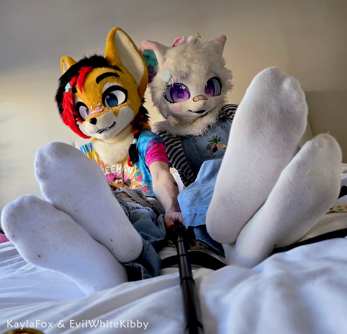 Bed Rule 34 Image