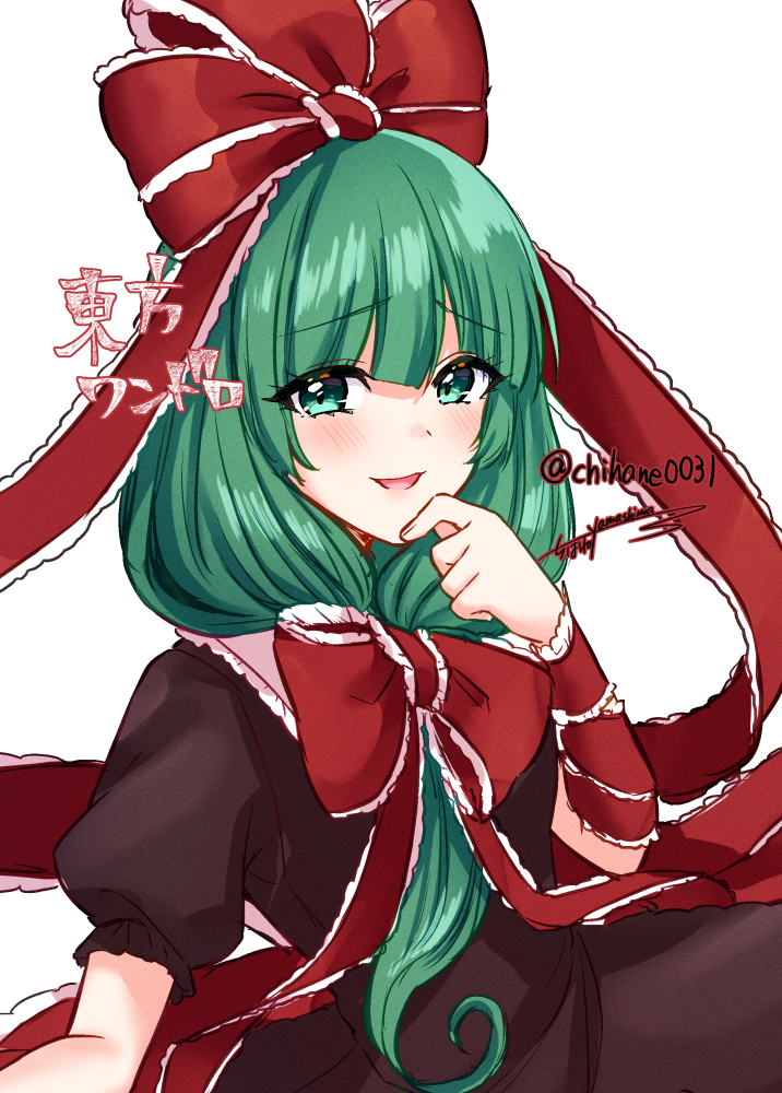 Kagiyama Hina (Touhou) Rule 34 Image