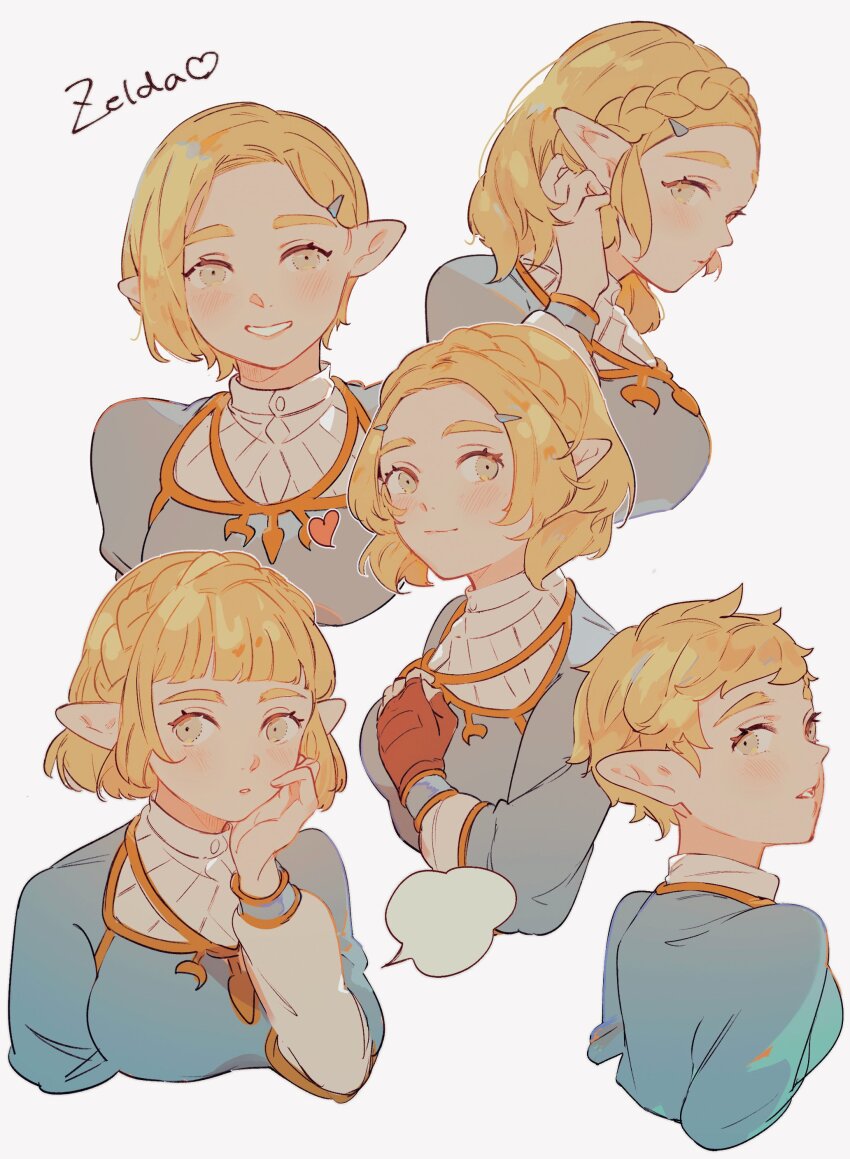 Princess Zelda (Nintendo) Rule 34 Image