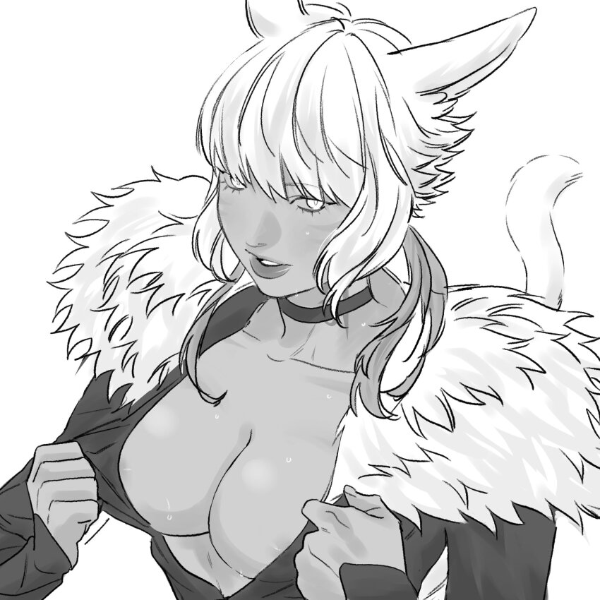 Miqo'Te (Final Fantasy) Rule 34 Image