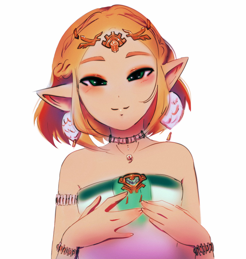 Princess Zelda (Nintendo) Rule 34 Image
