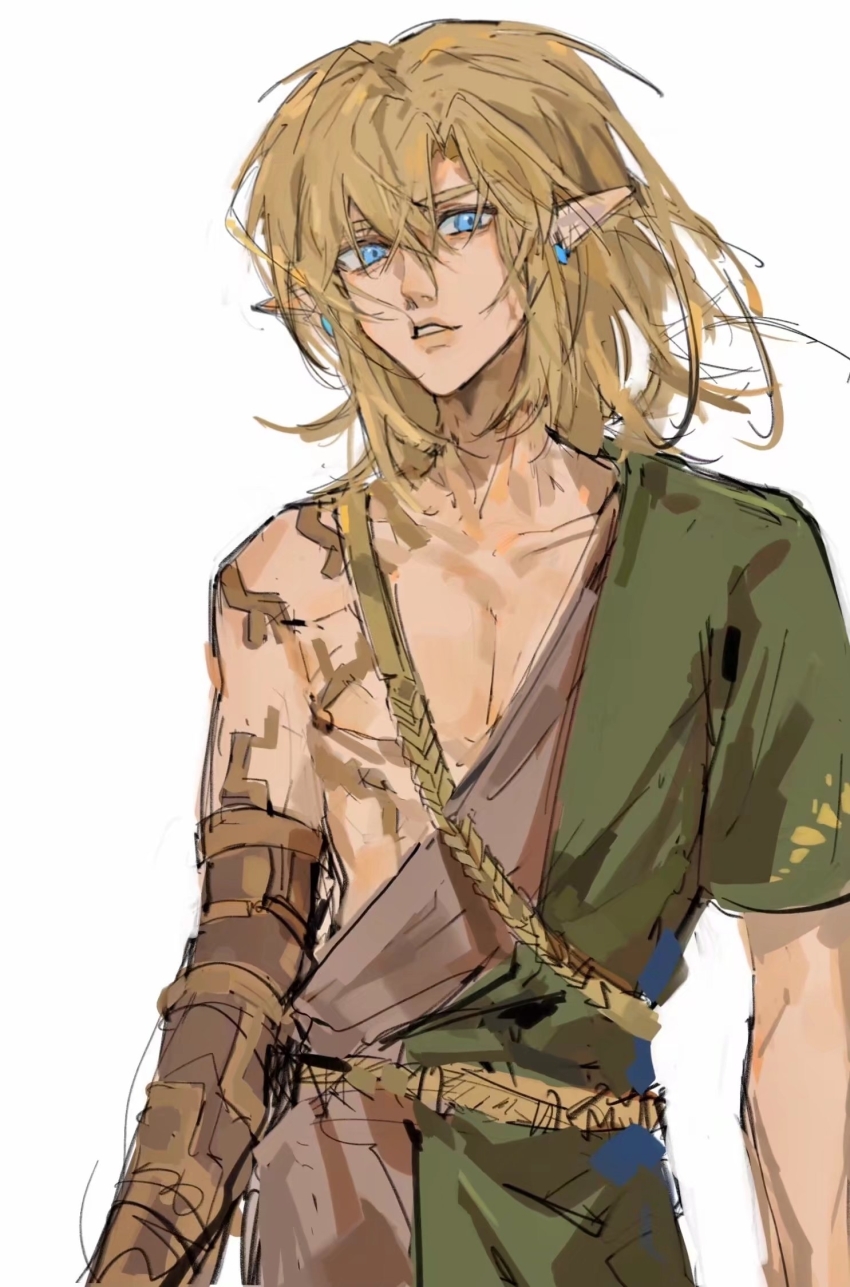 Link (Nintendo) Rule 34 Image