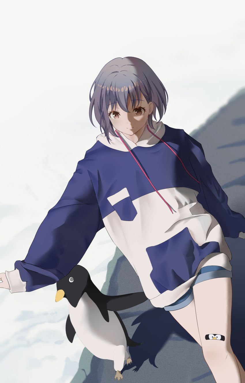 Takamatsu Tomori (Bang Dream!) Rule 34 Image