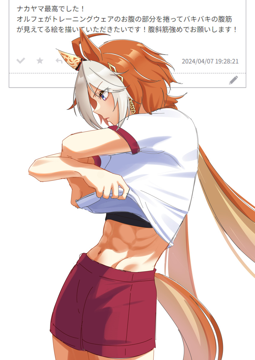 Orfevre (Umamusume) Rule 34 Image