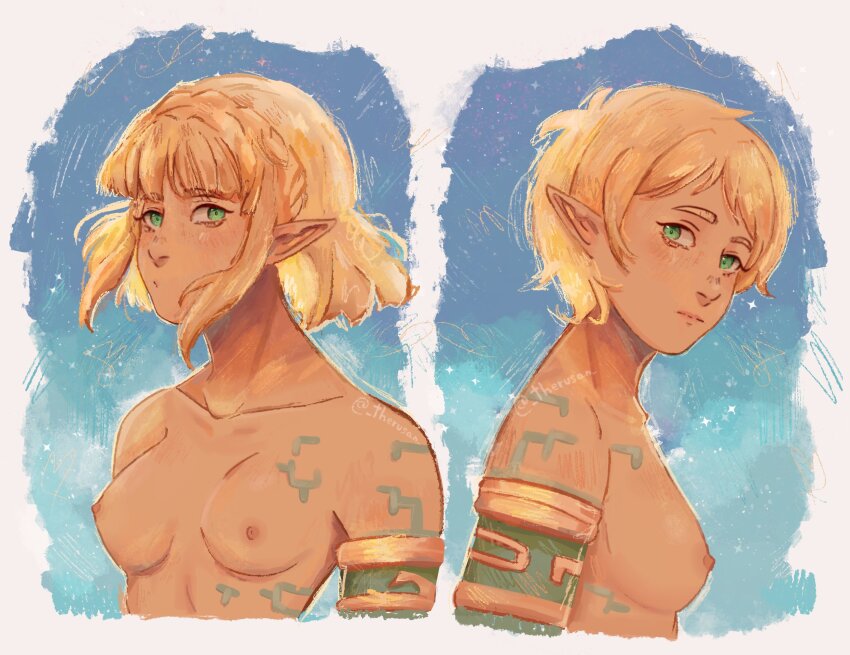 Princess Zelda (Nintendo) Rule 34 Image