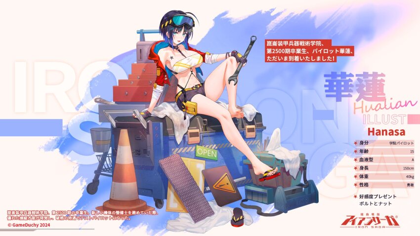 Iron Saga Rule 34 Image