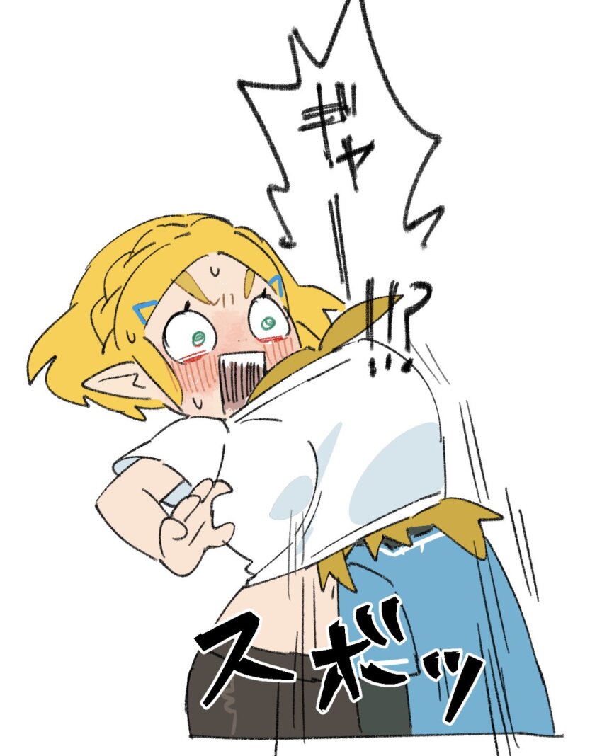 Link (Nintendo) Rule 34 Image