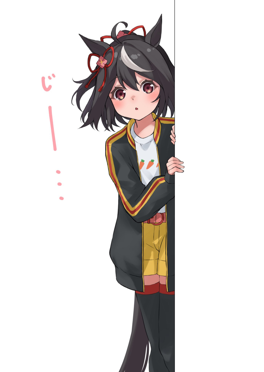 Kitasan Black (Umamusume) Rule 34 Image