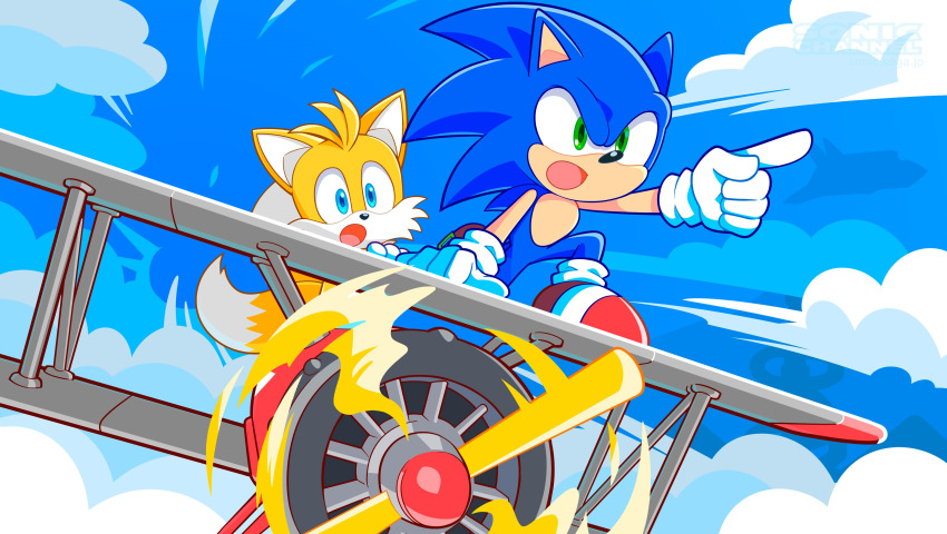 Sonic The Hedgehog (Sonic (Series)) Rule 34 Image