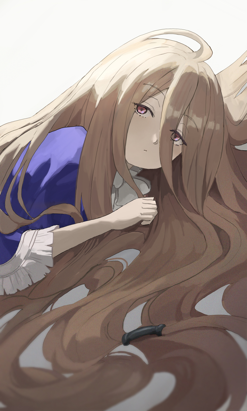 Sense (Sousou No Frieren) Rule 34 Image