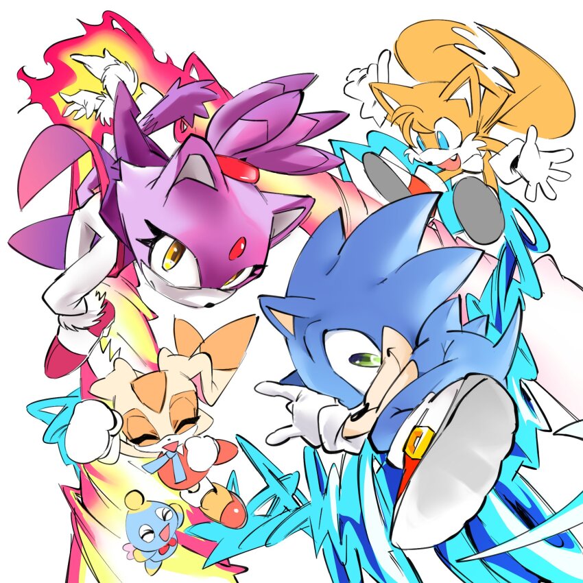 Blaze The Cat (Sonic (Series)) Rule 34 Image