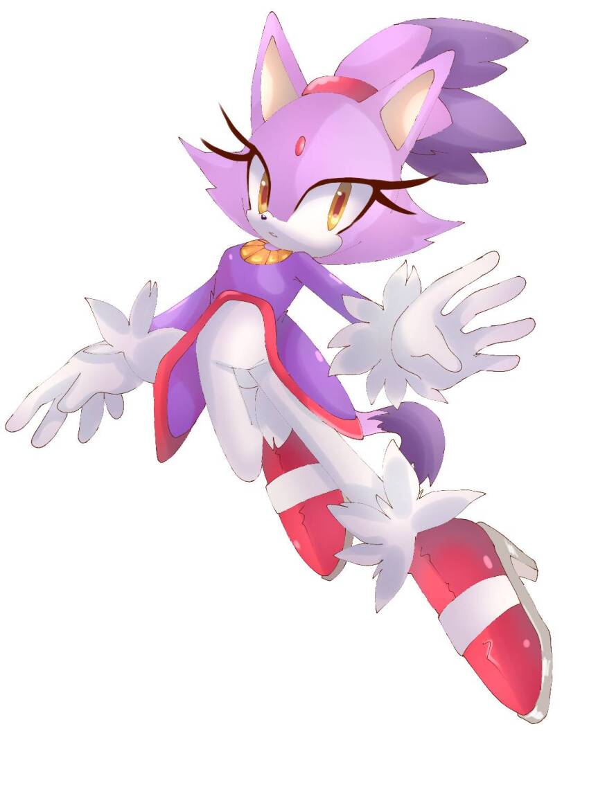 Blaze The Cat (Sonic (Series)) Rule 34 Image