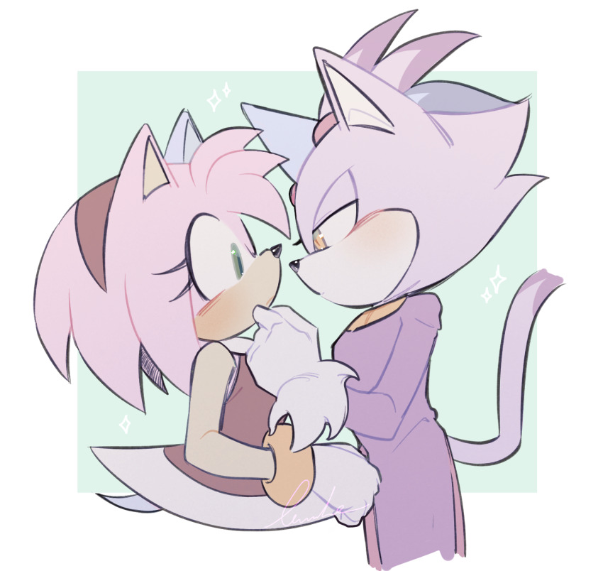 Amy Rose (Sonic (Series)) Rule 34 Image