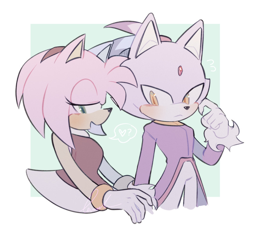 Amy Rose (Sonic (Series)) Rule 34 Image
