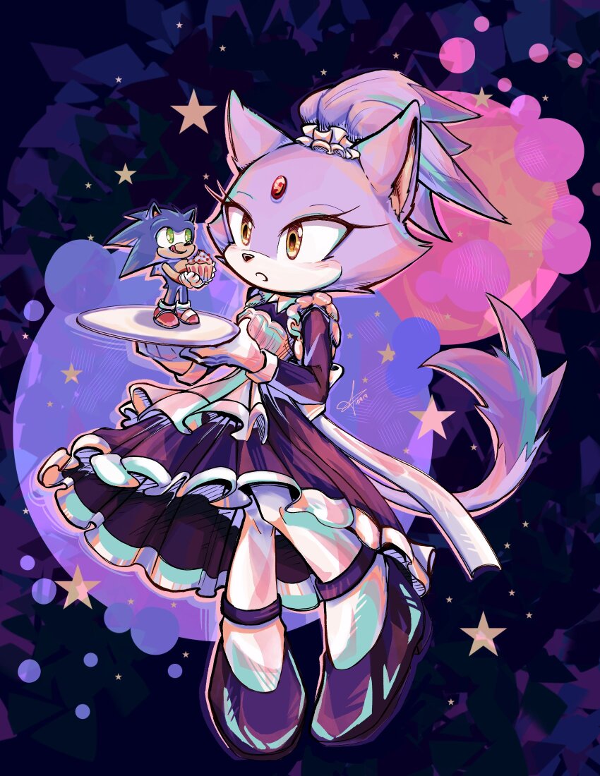 Blaze The Cat (Sonic (Series)) Rule 34 Image