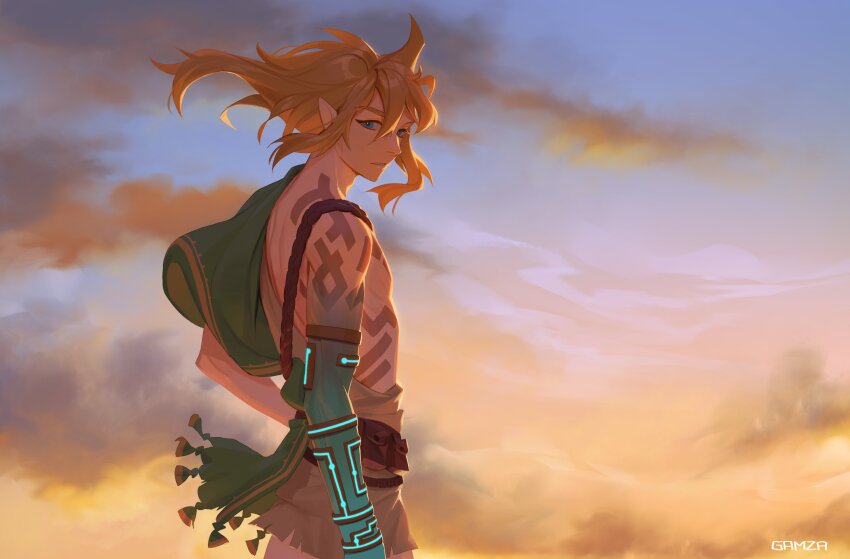 Link (Nintendo) Rule 34 Image