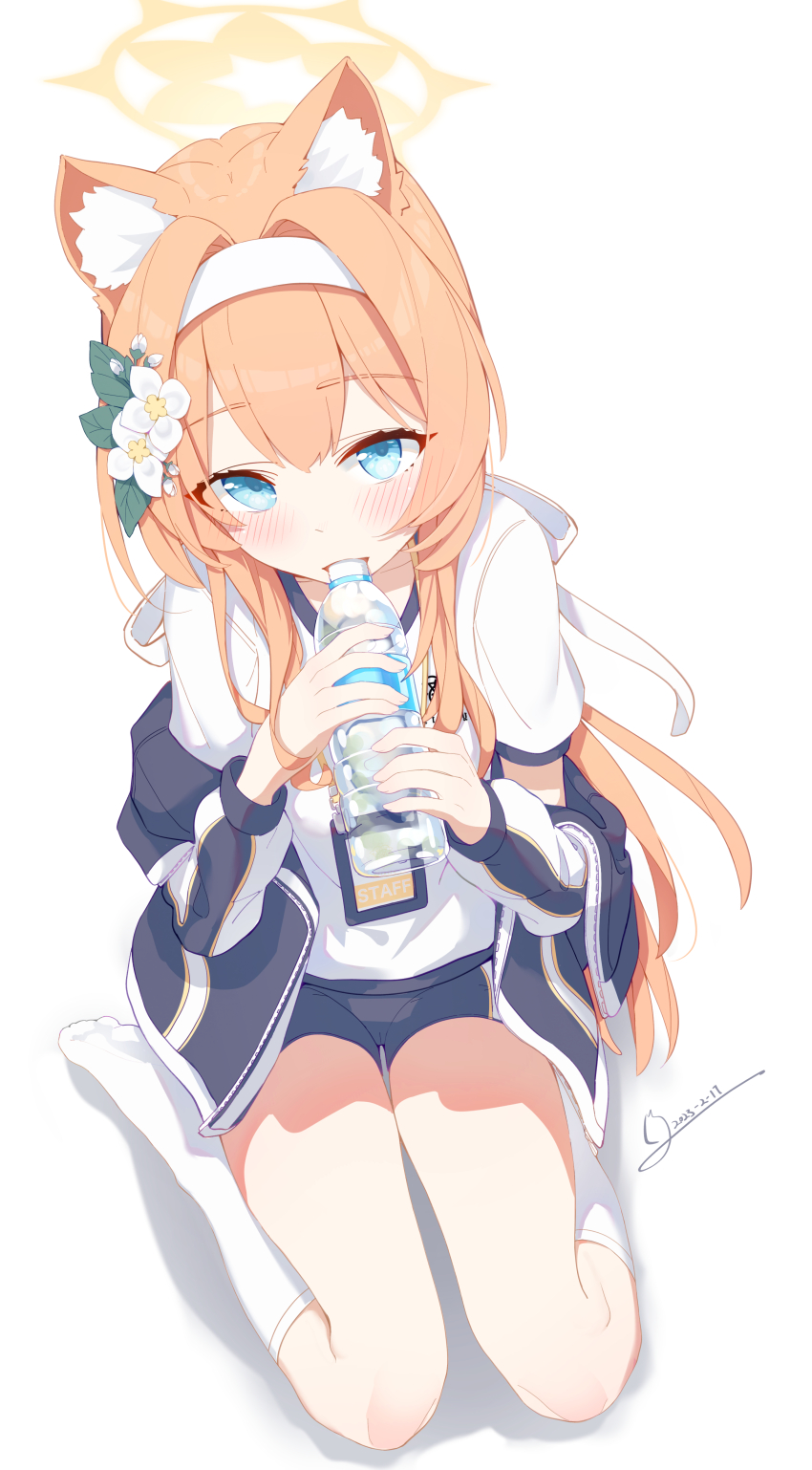 Mari (Blue Archive) Rule 34 Image