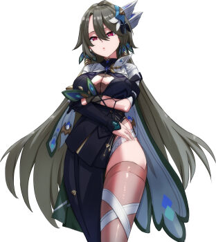 Honkai (Series) Rule 34 Image