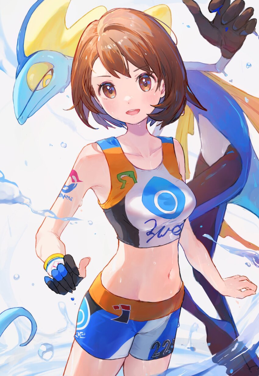Gen 8 Pokemon (Nintendo) Rule 34 Image