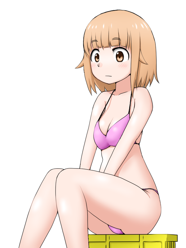 Tsurugi Hina (Houkago Teibou Nisshi) Rule 34 Image