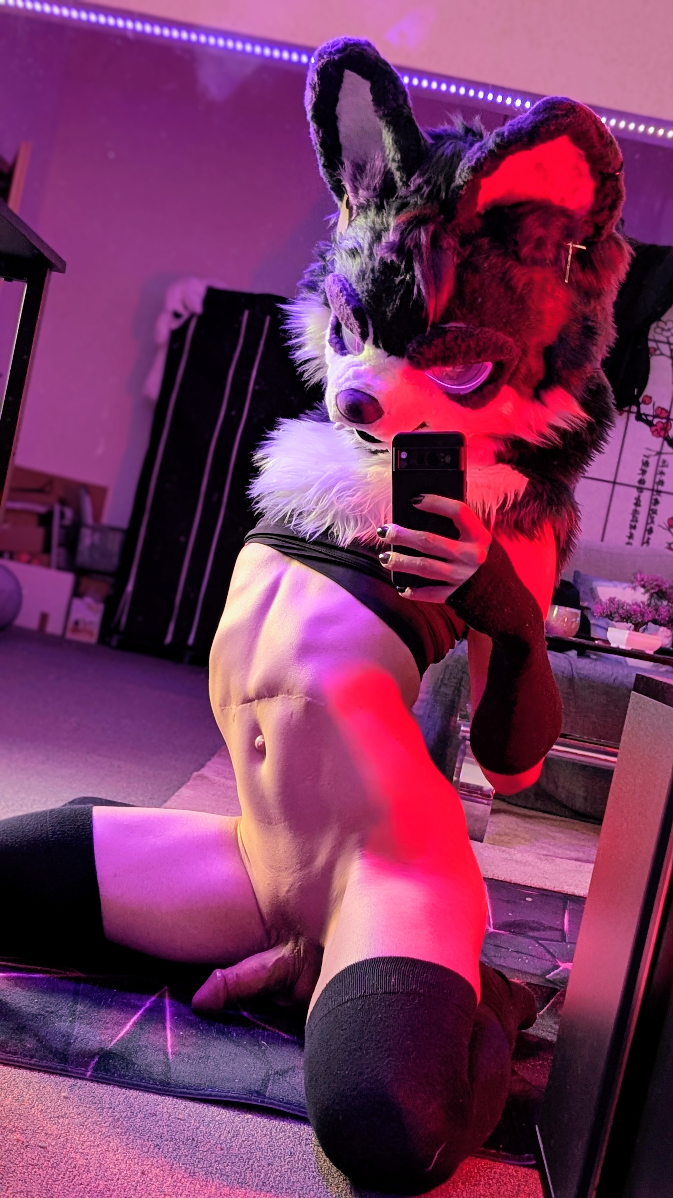 Chirako Rule 34 Image