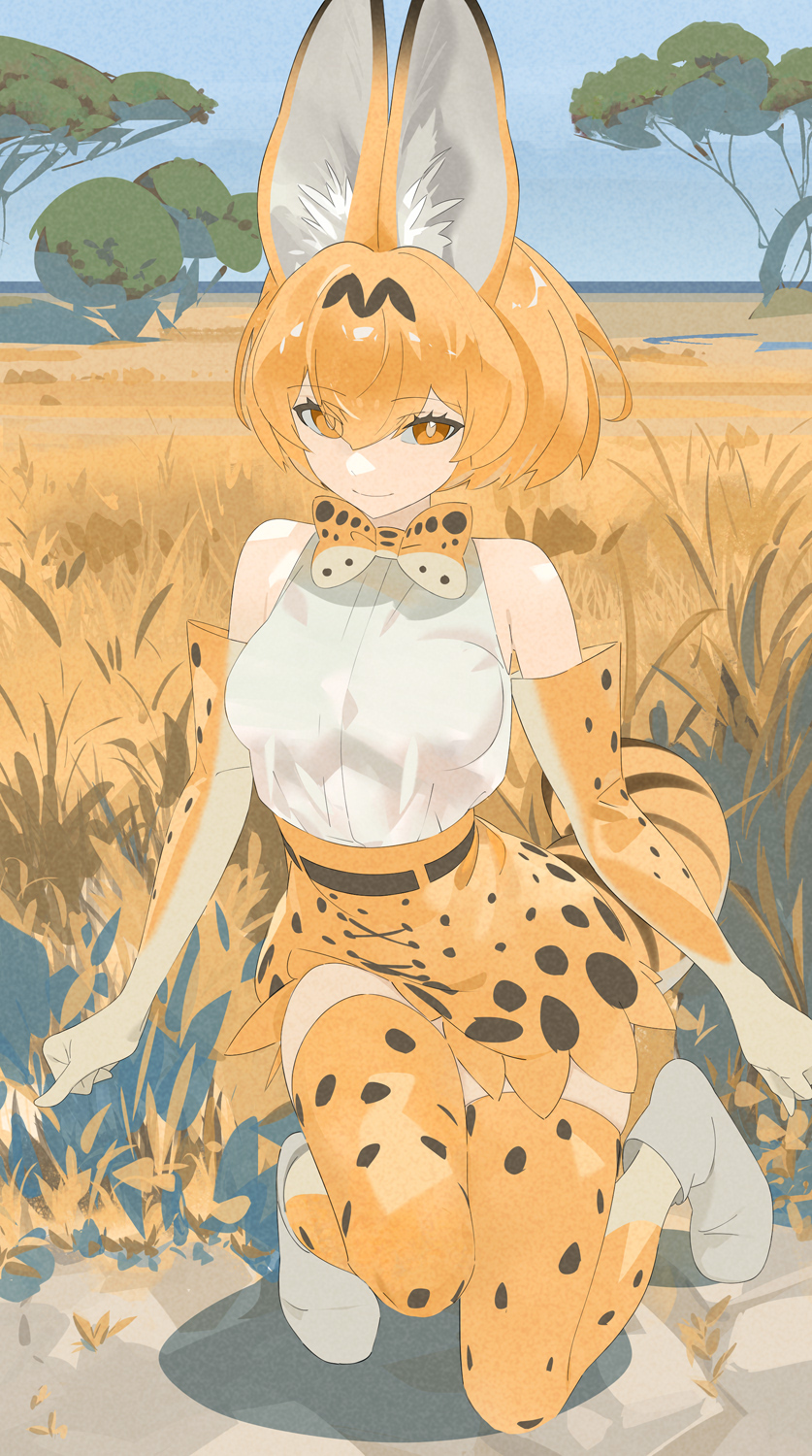 Serval (Kemono Friends) Rule 34 Image