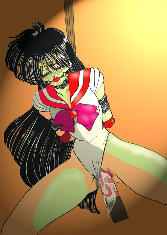 Rei Hino (Bishoujo Senshi Sailor Moon) Rule 34 Image