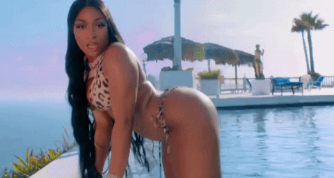 Megan Thee Stallion Rule 34 Image
