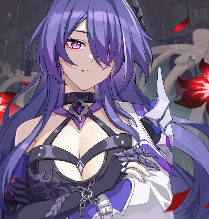 Acheron (Honkai: Star Rail) Rule 34 Image