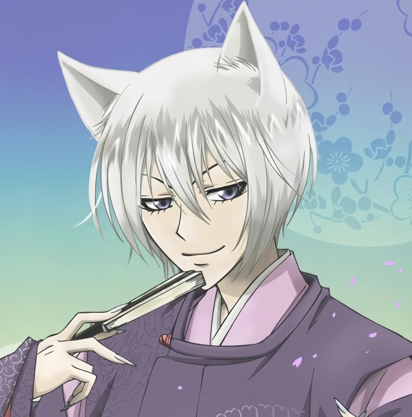 Kotetsu (Kamisama Hajimemashita) Rule 34 Image
