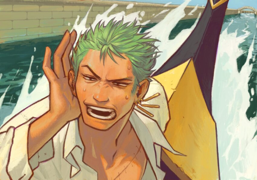 Roronoa Zoro (One Piece) Rule 34 Image