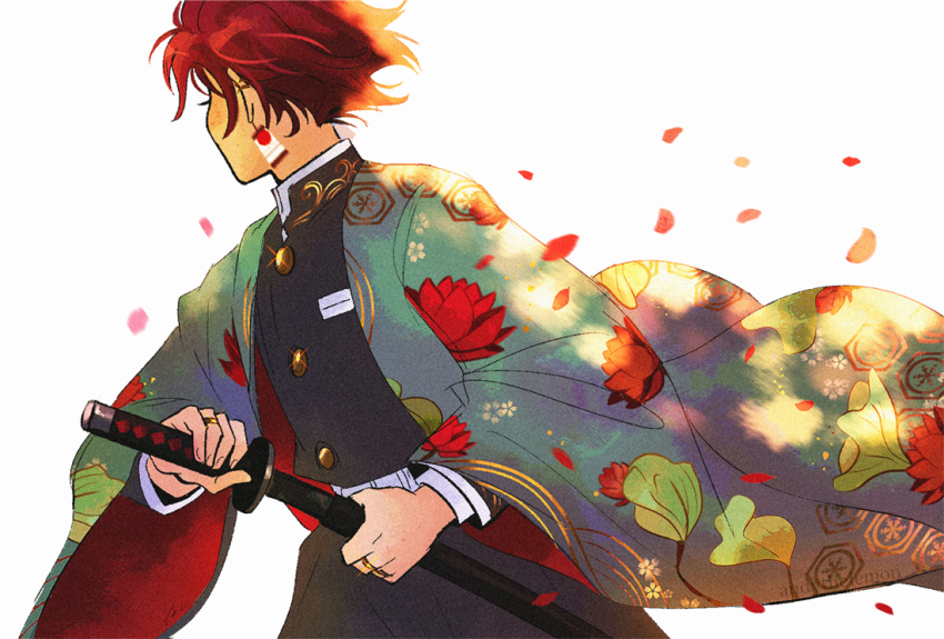 Kamado Tanjirou (Kimetsu No Yaiba) Rule 34 Image