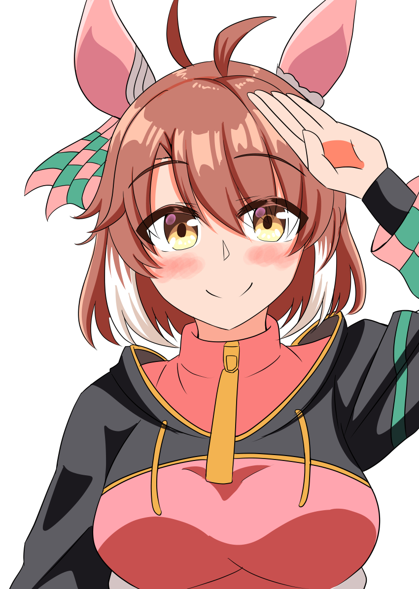 Dantsu Flame (Center Spotlight) (Umamusume) Rule 34 Image