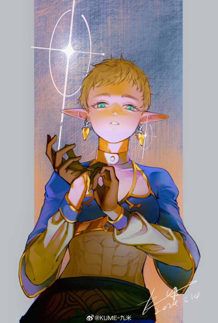 Princess Zelda (Nintendo) Rule 34 Image