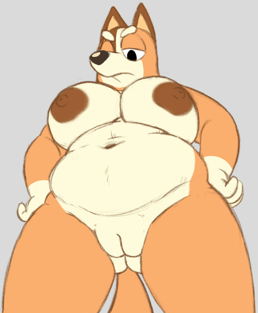Chilli Heeler (Bluey (Series)) Rule 34 Image