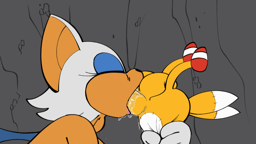 Rouge The Bat (Sega) Rule 34 Image